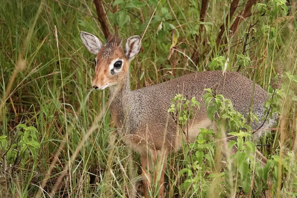 DSC09215_DxO.jpg