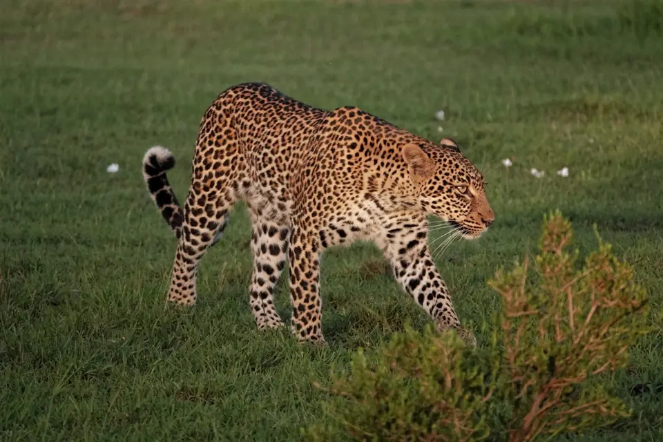 DSC09743_DxO.jpg