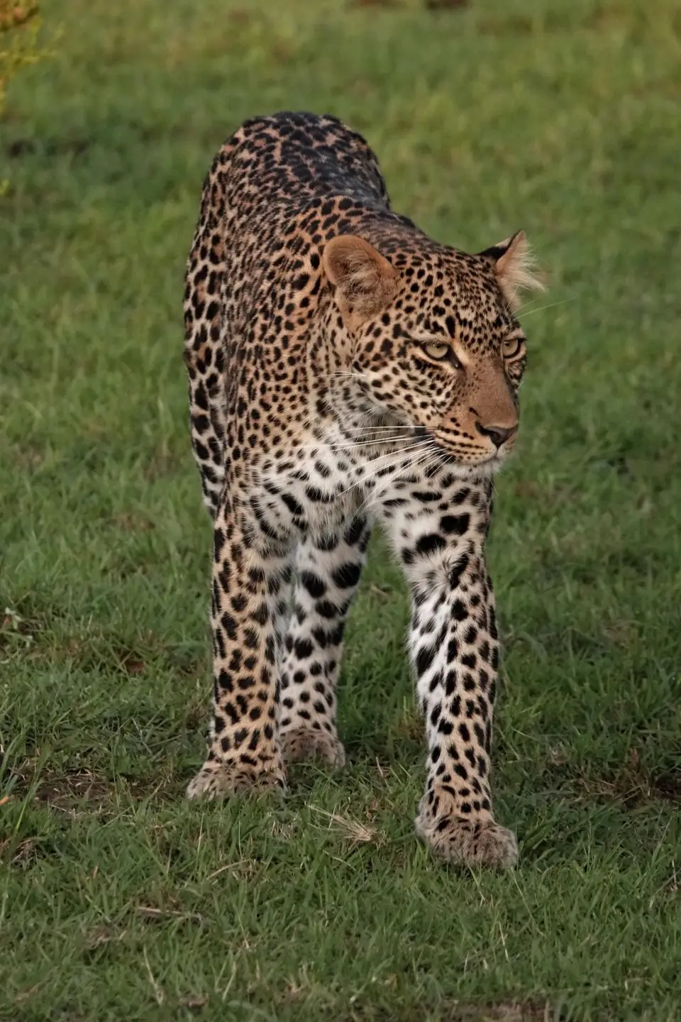 DSC09749_DxO.jpg