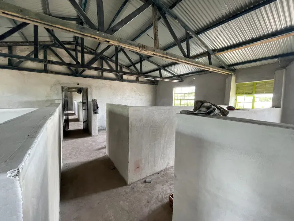 IMG_1280.JPG