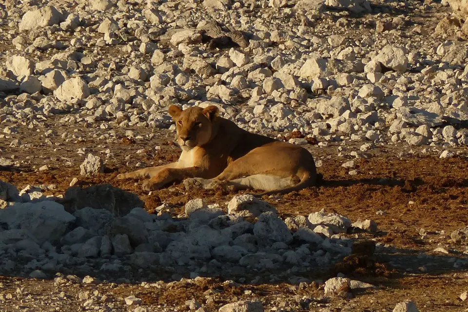 P1000826.JPG