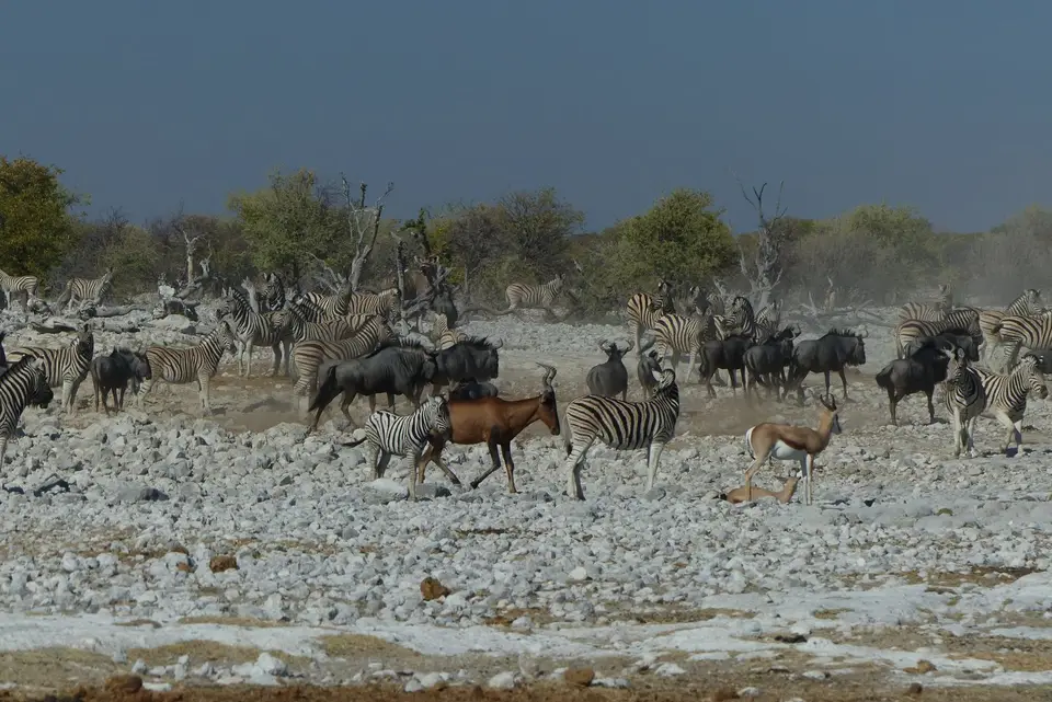 P1000835.JPG