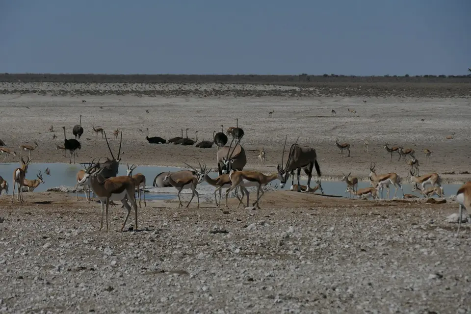 P1030433.JPG