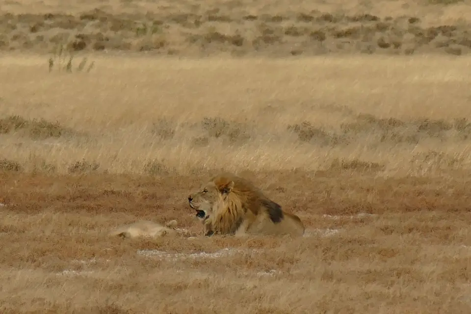 P1050356.JPG