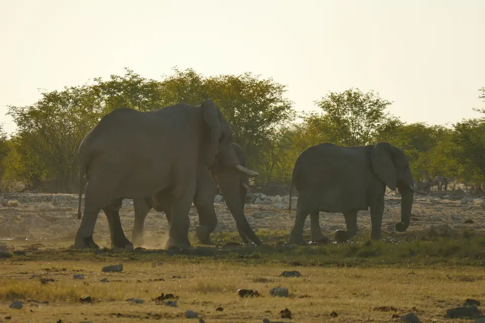 P1050484.JPG