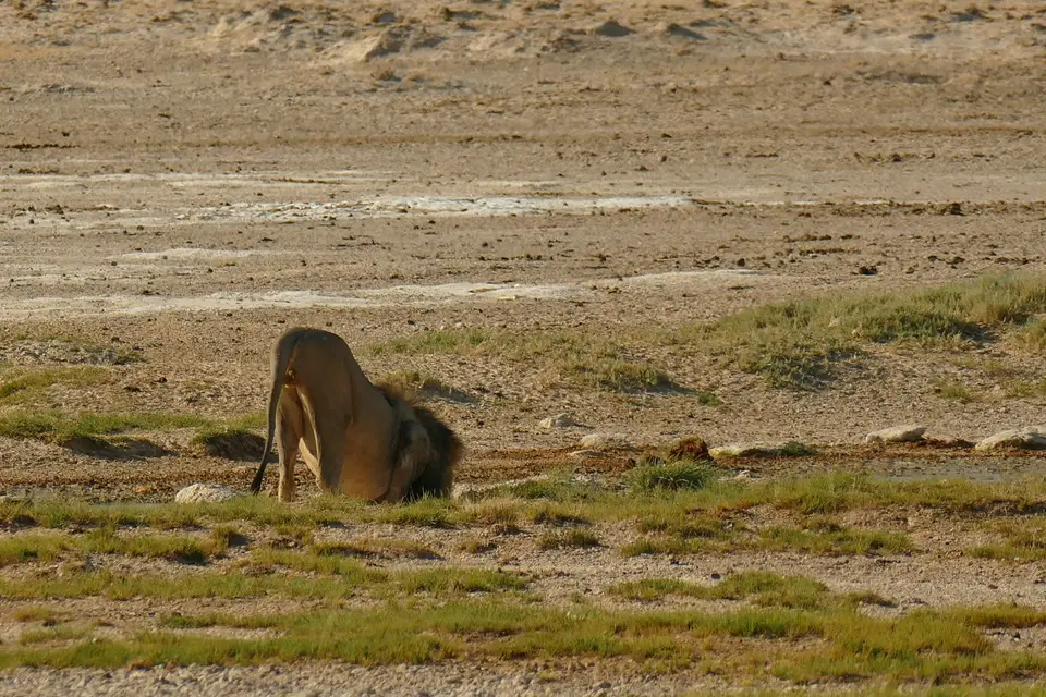 P1050832.JPG