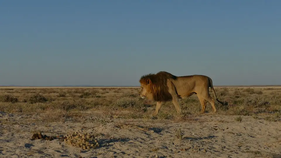 P1080154.JPG