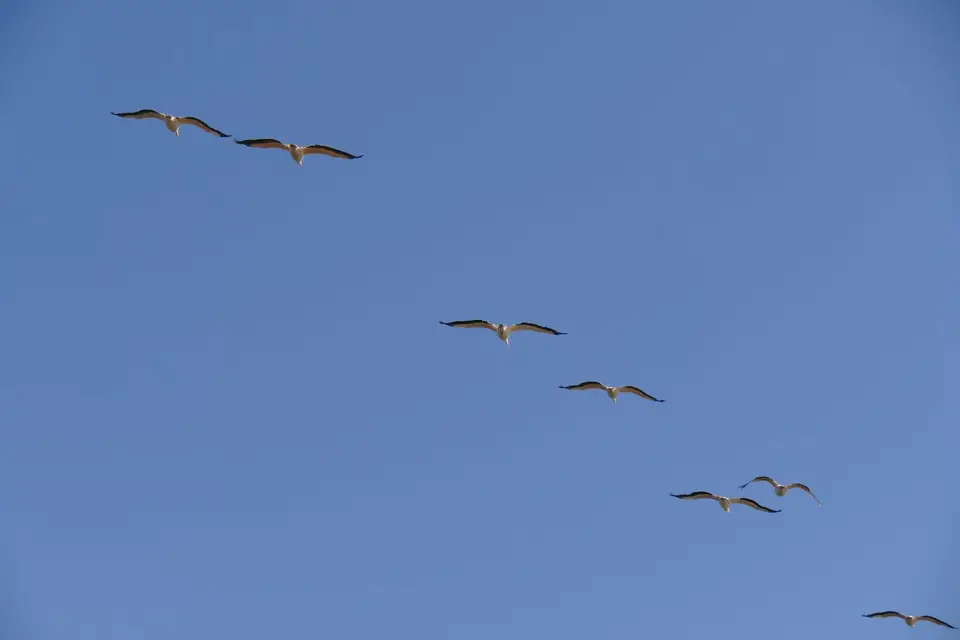 P1080863.JPG