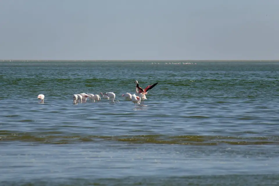 P1080873_DxO.jpg