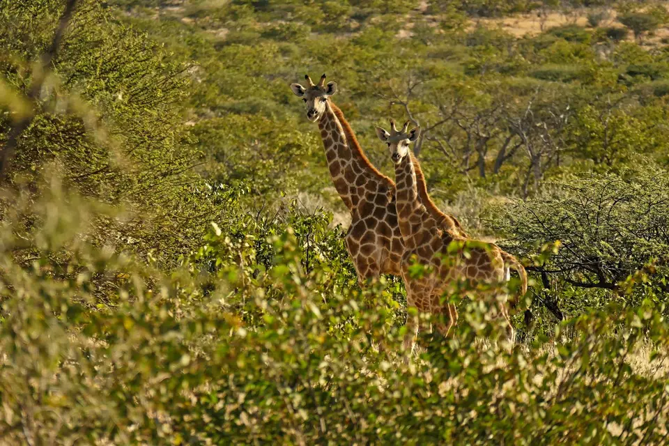 P1090446_DxO.jpg
