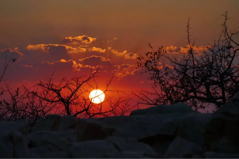 sundowner2.jpg