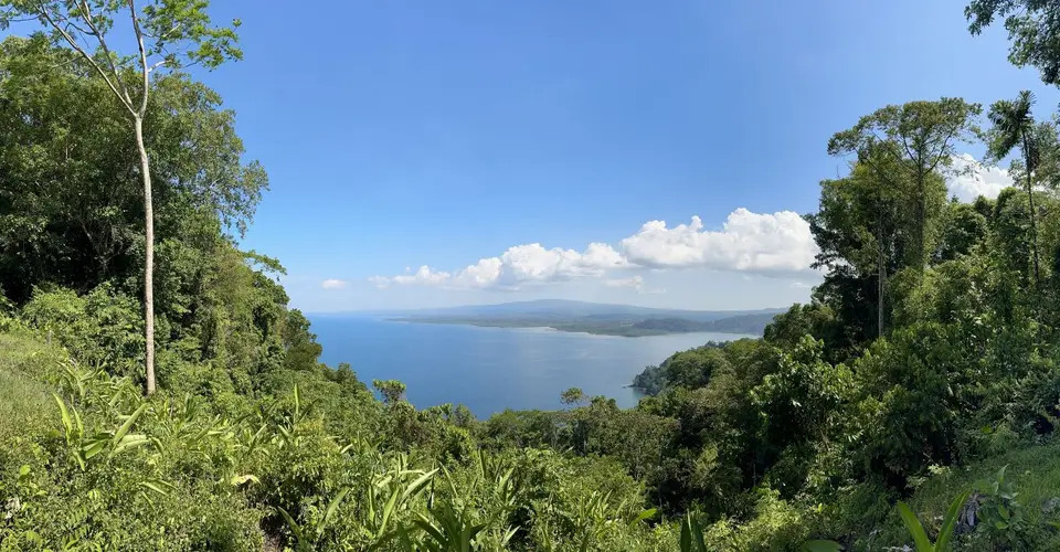 IMG_0965.JPEG