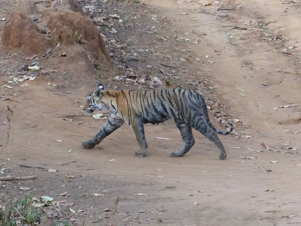 P1200136.JPG