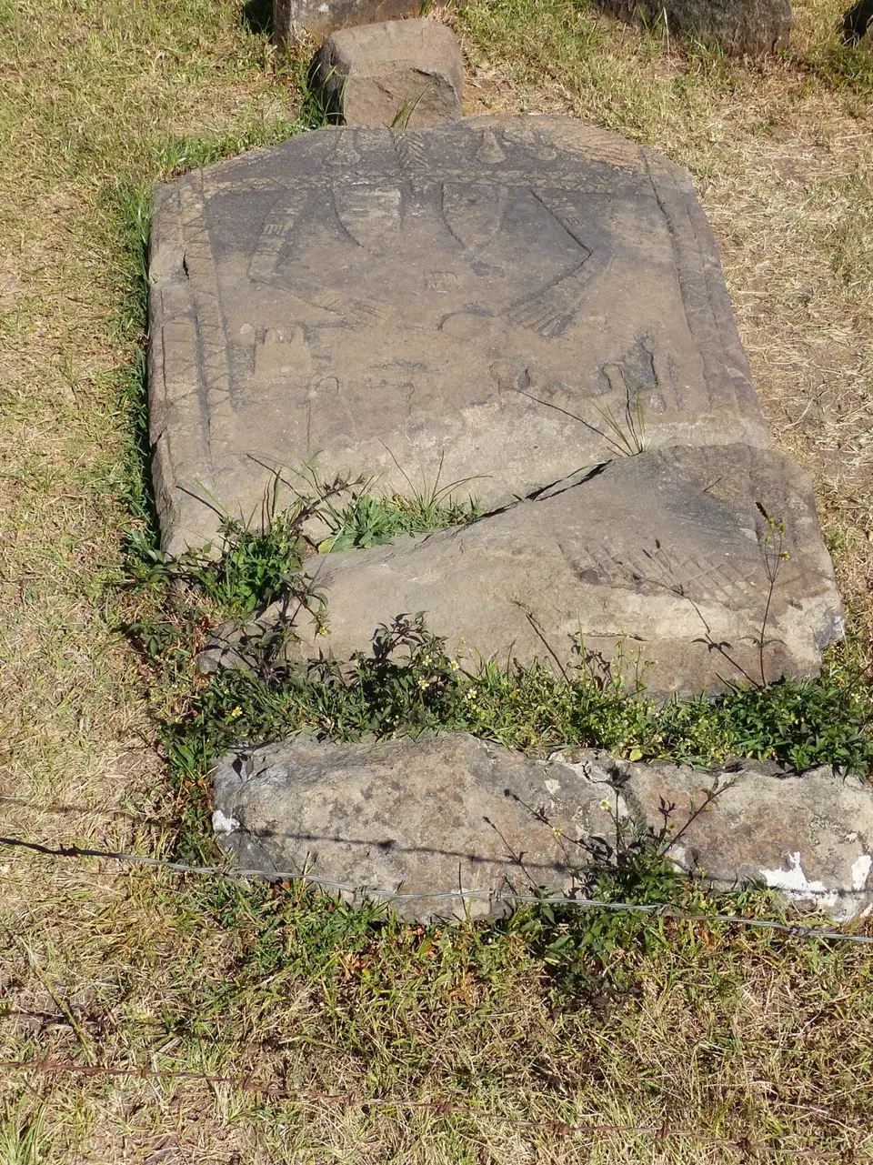 P1220114.JPG
