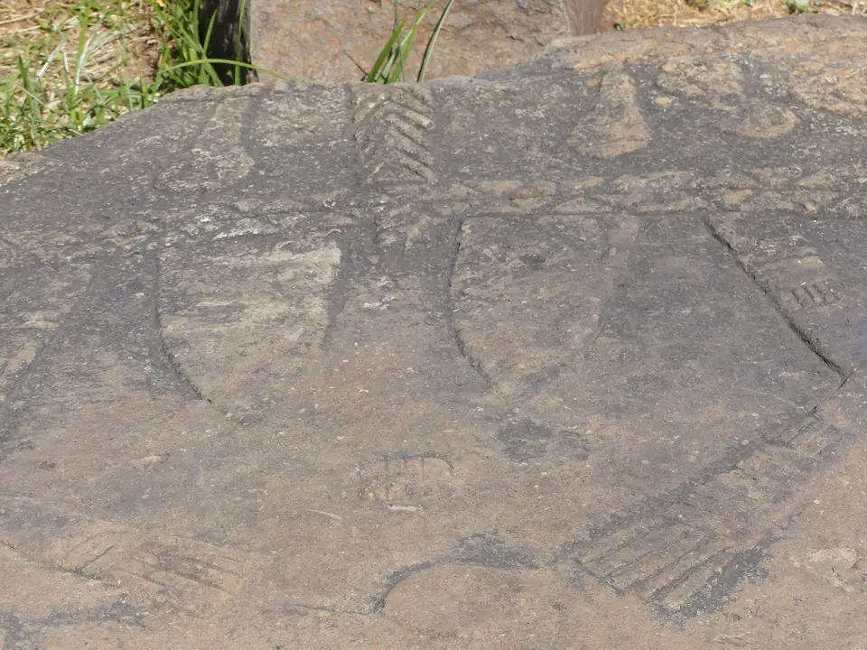 P1220120.JPG