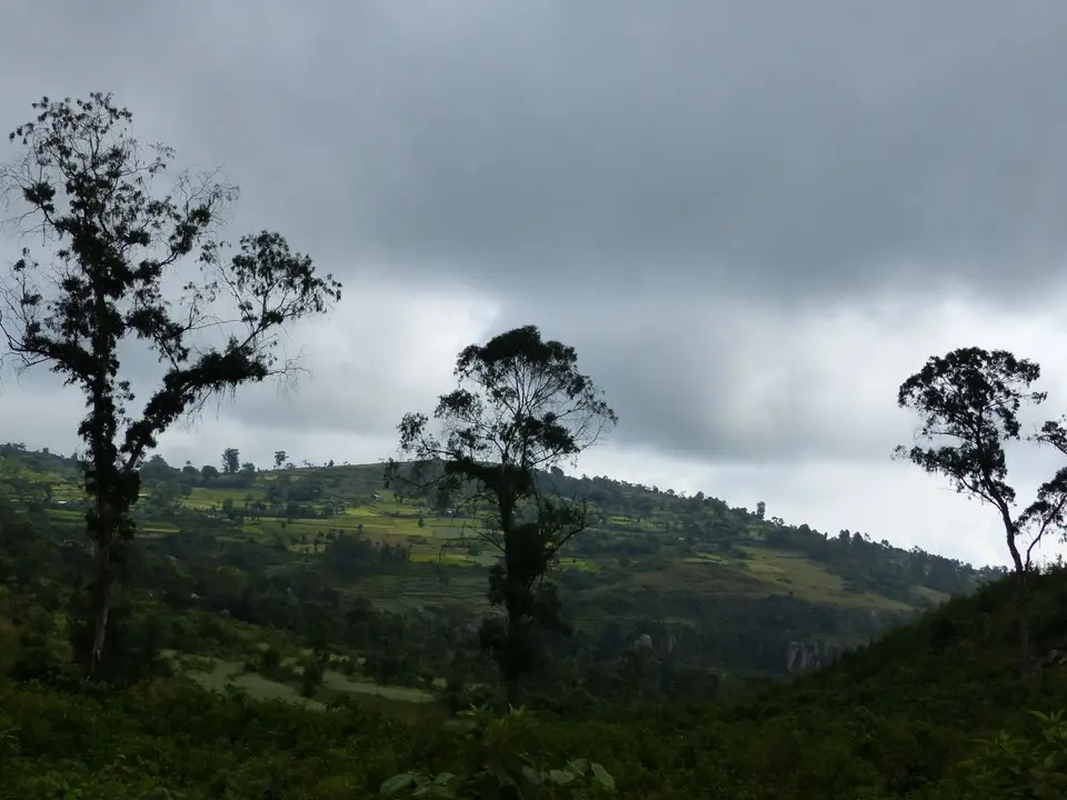 P1220345.JPG