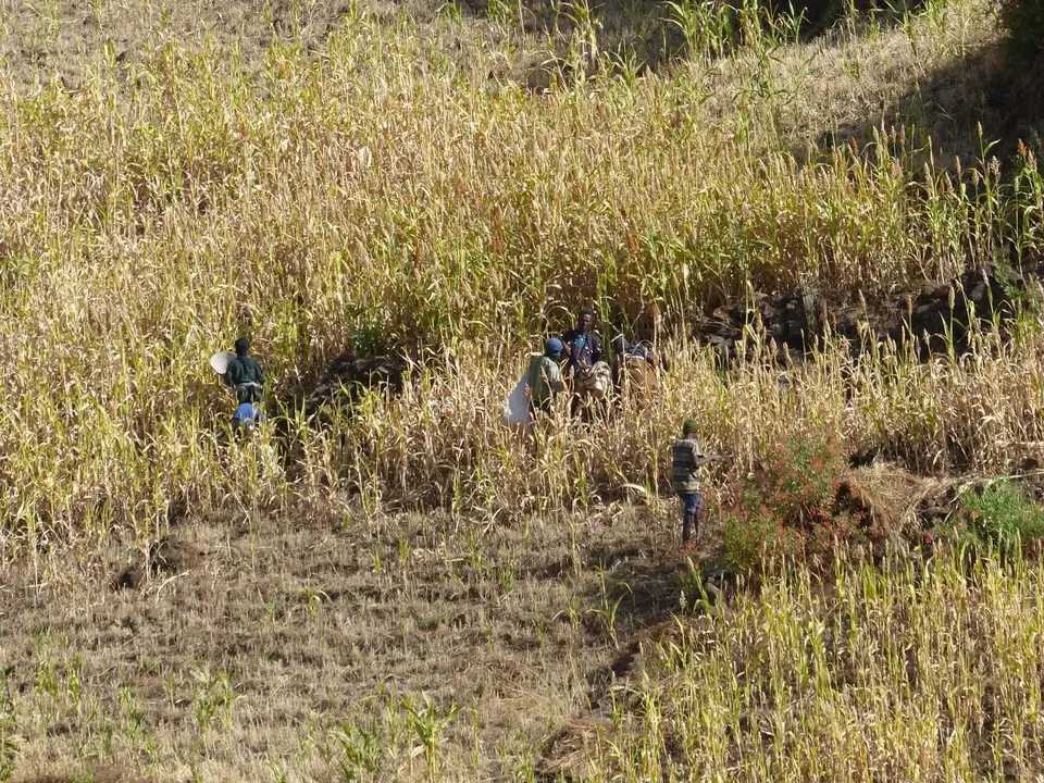 P1240595.JPG