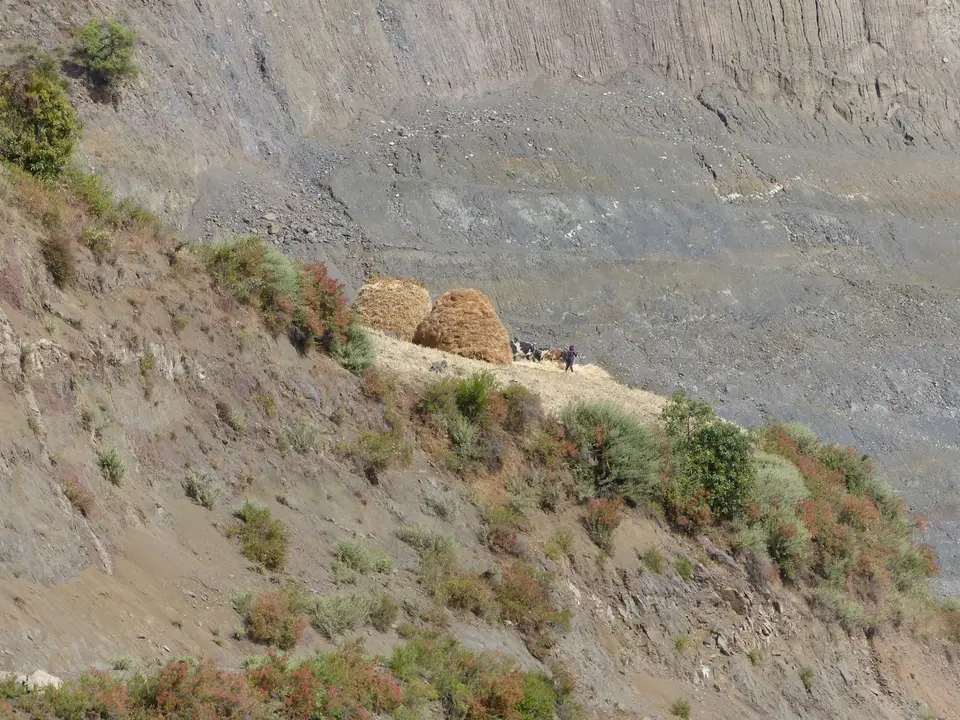 P1240674.JPG