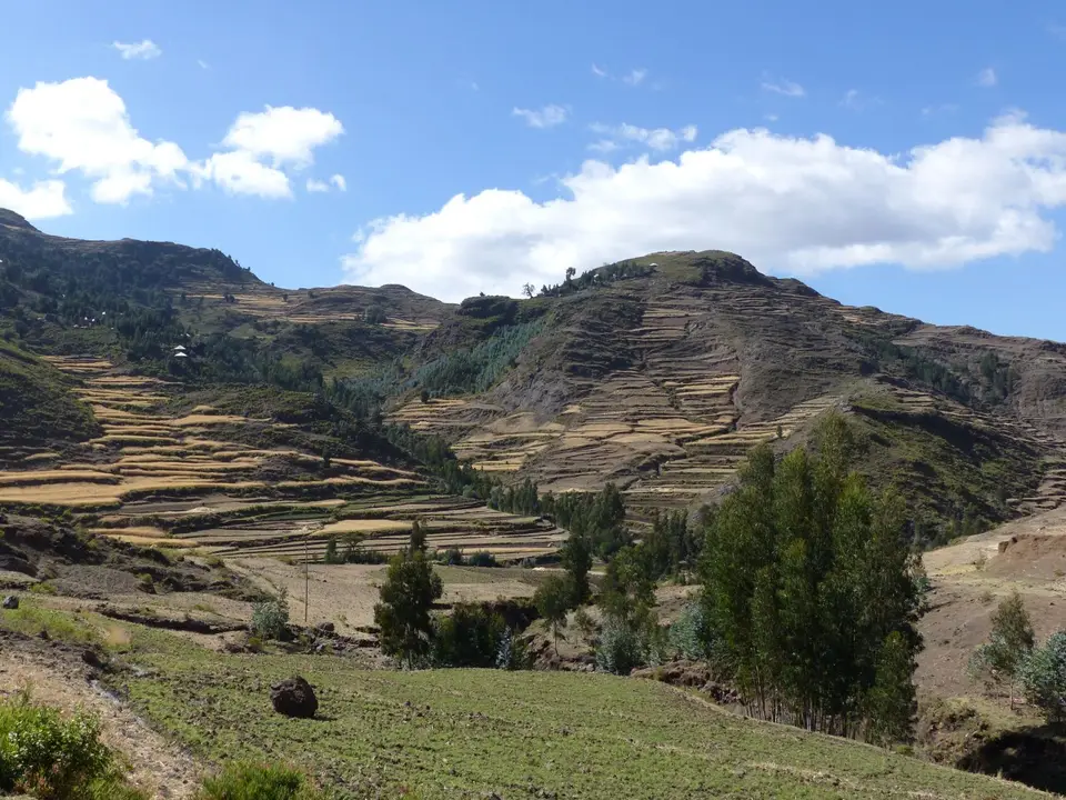 P1250013.JPG