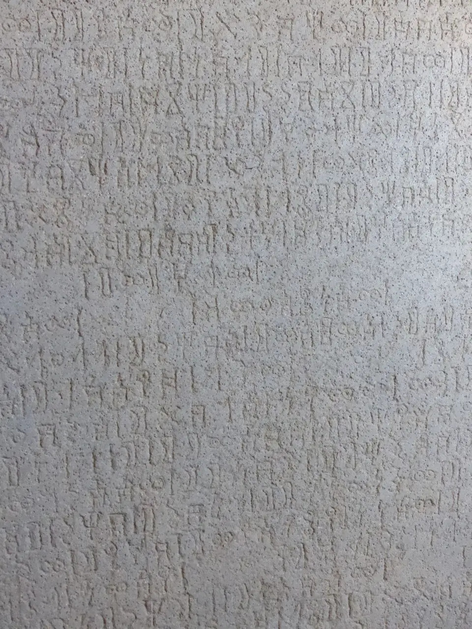 P1250352Kopie.jpg