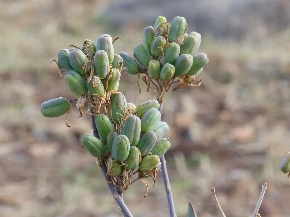 P1250401.JPG