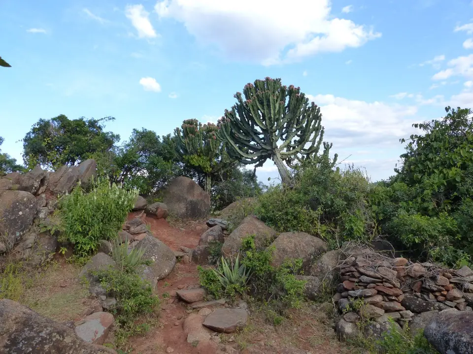 P1250416.JPG