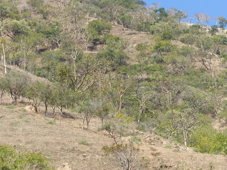P1250627.JPG