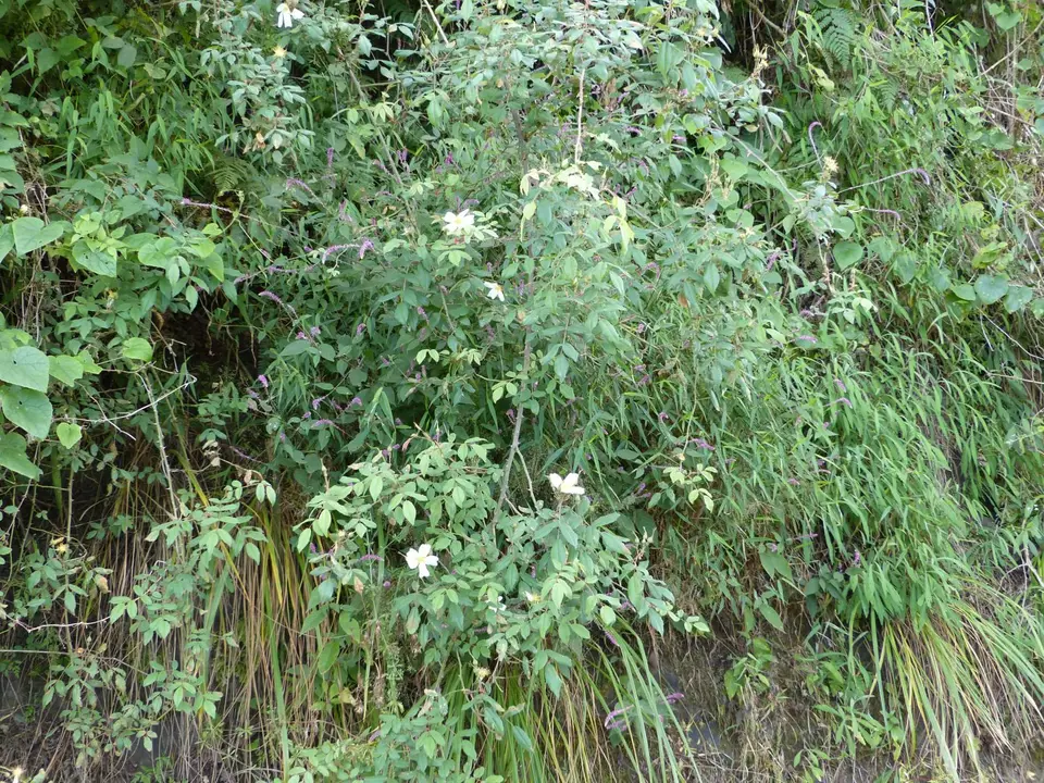 P1250759.JPG