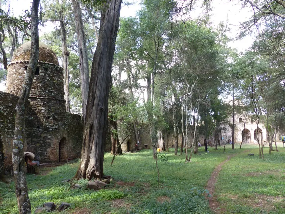 P1250966.JPG