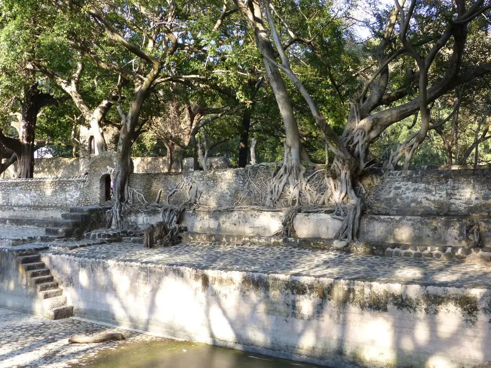 P1260154.JPG