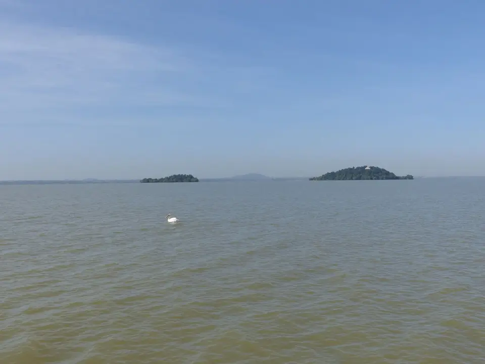 P1260553.JPG