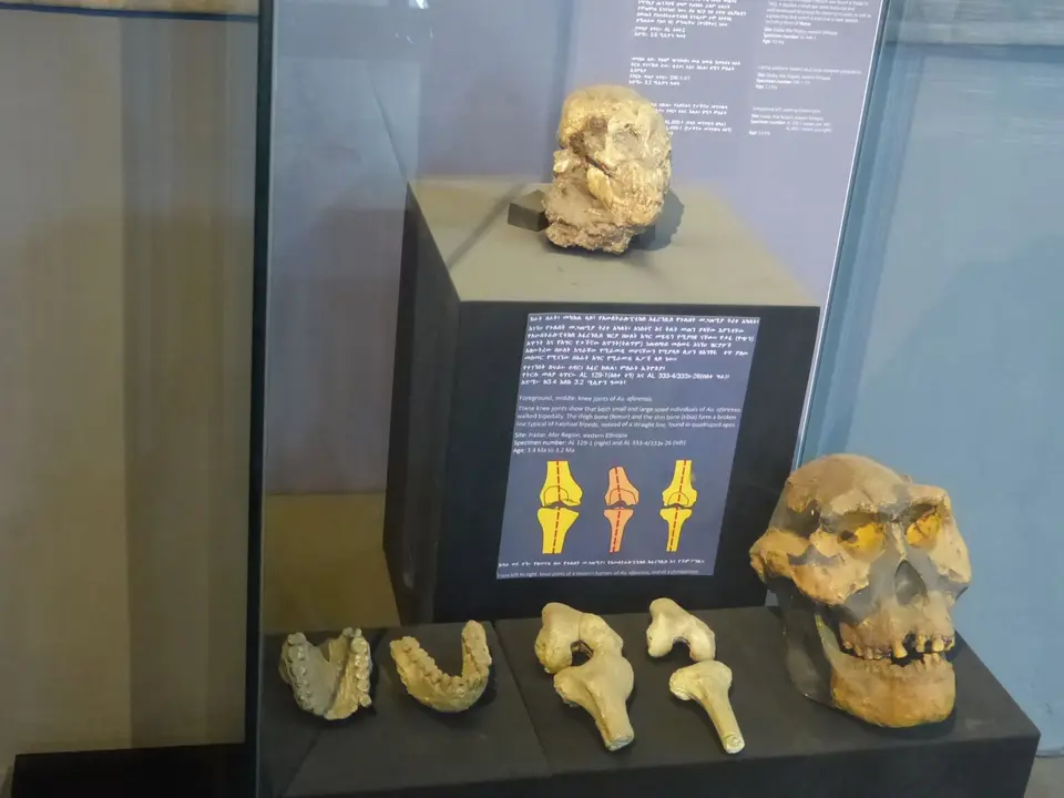 P1270429.JPG