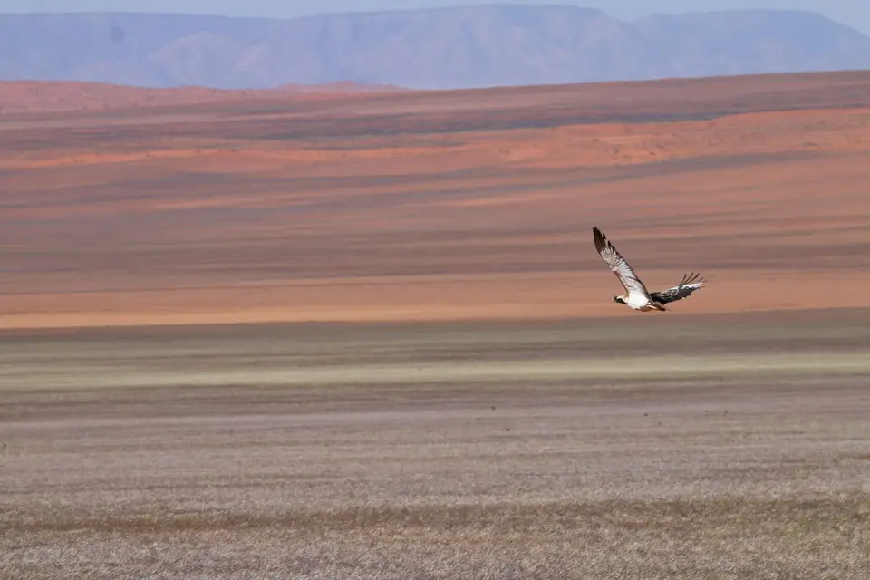 IMG_3876.JPG