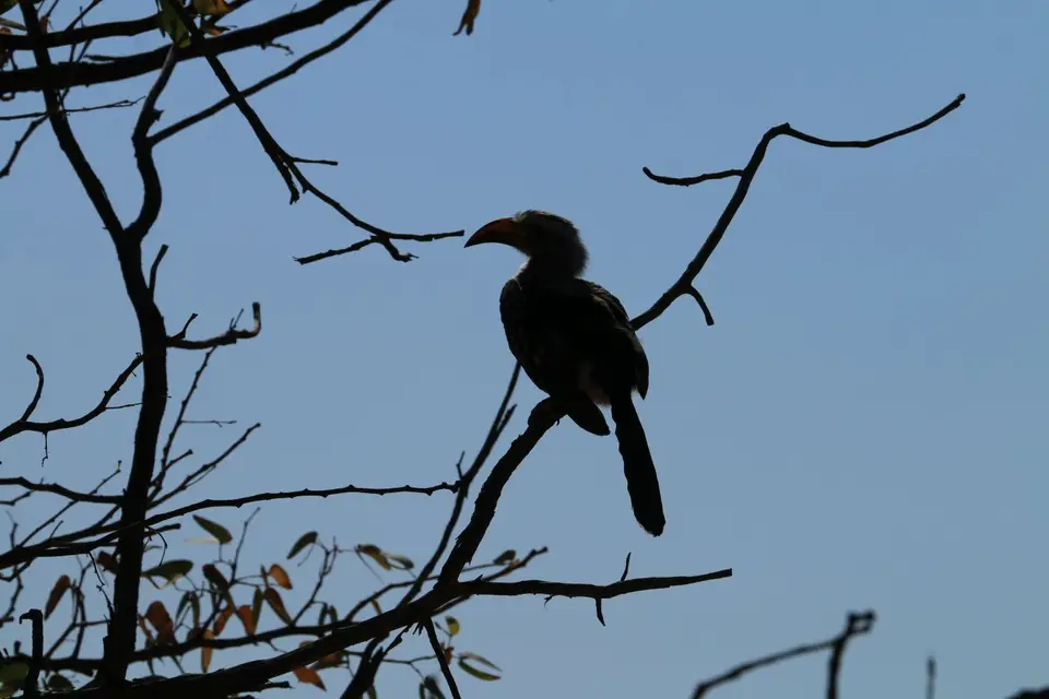 IMG_9245.JPG