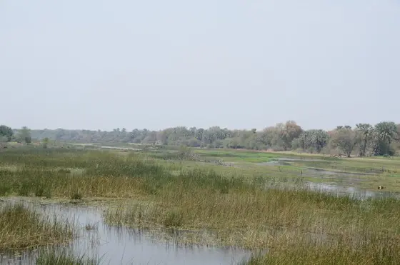 h70df034.JPG