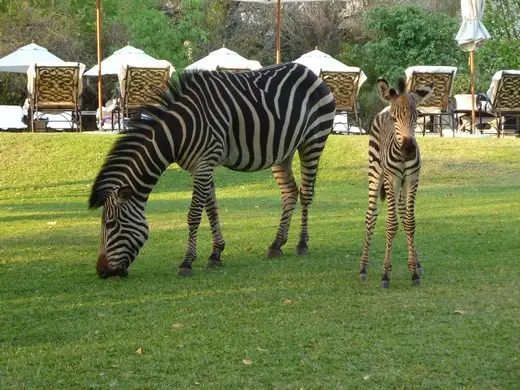 hafe2e25.JPG