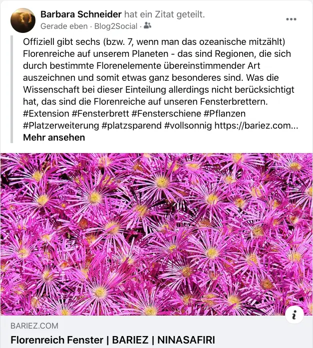 Florenreich_Fenster_Post.png