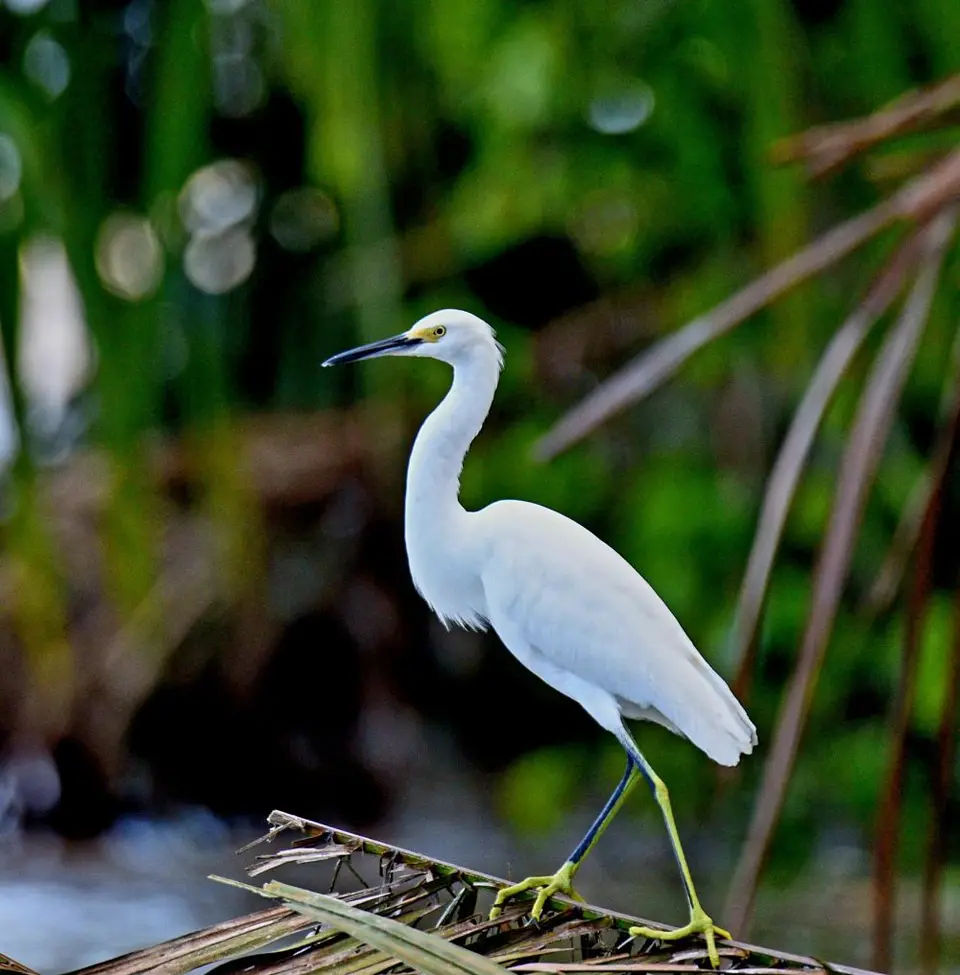 DSC_2722a.jpg