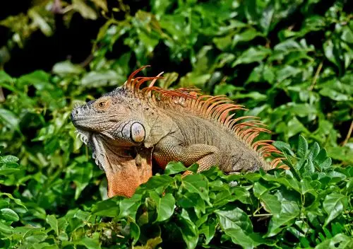DSC_2759a.jpg