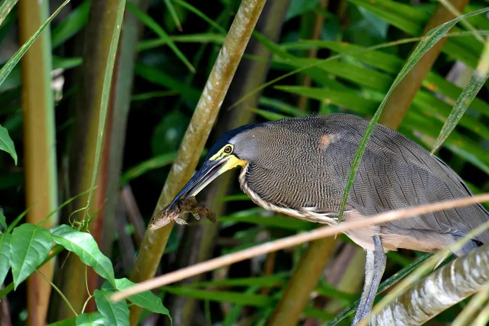 DSC_2812a.jpg