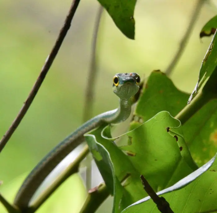 DSC_3112a.jpg