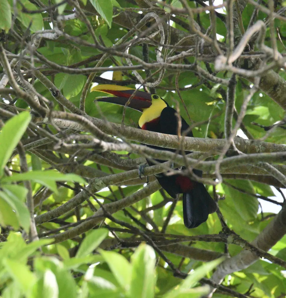 DSC_3318a.jpg
