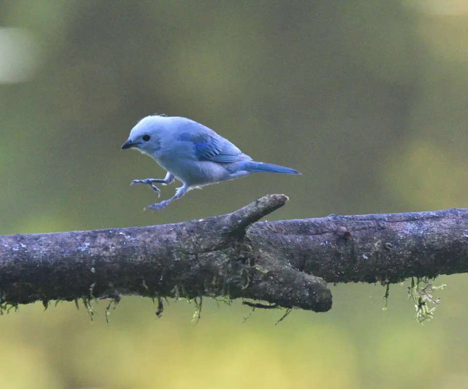 DSC_3404a.jpg