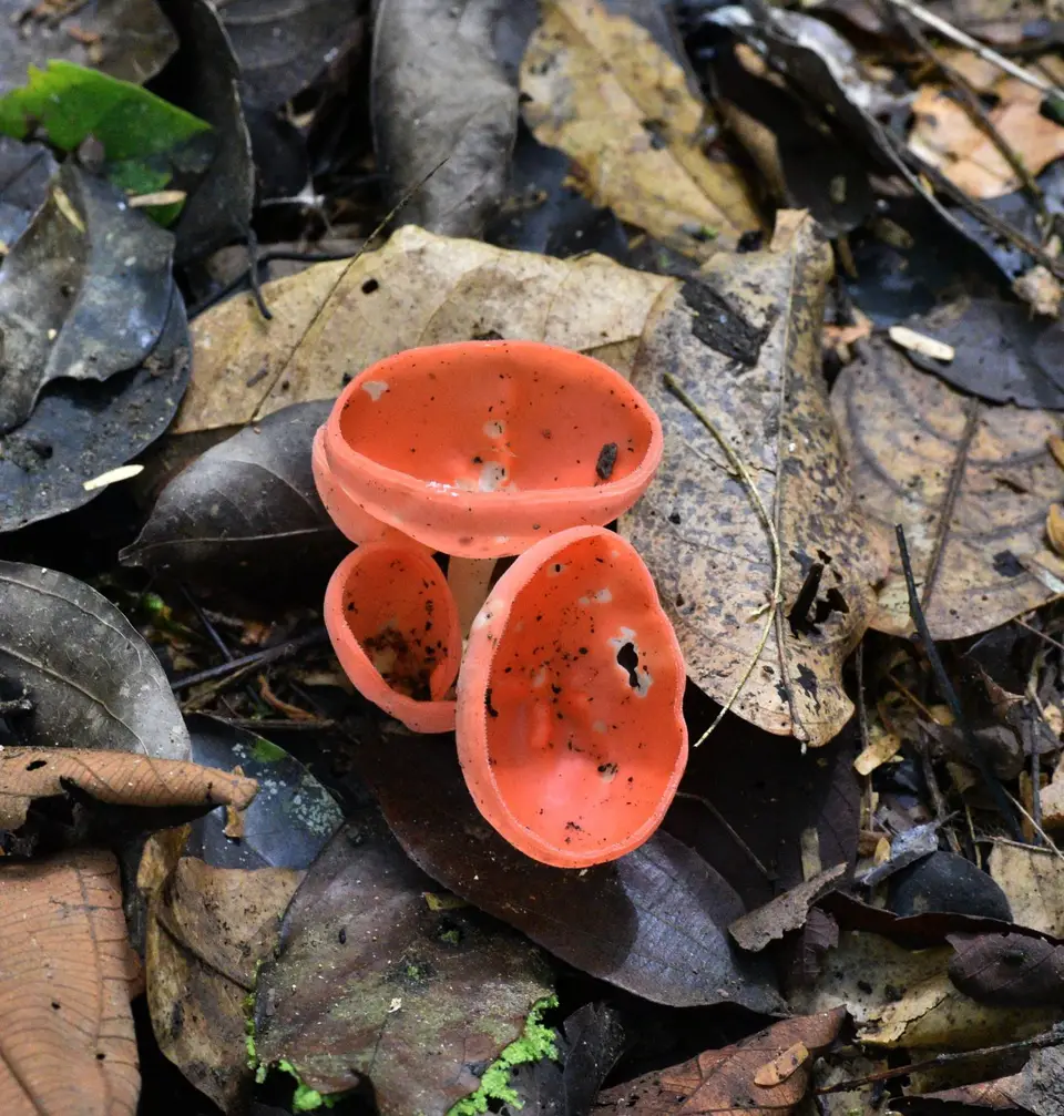 DSC_4020a.jpg