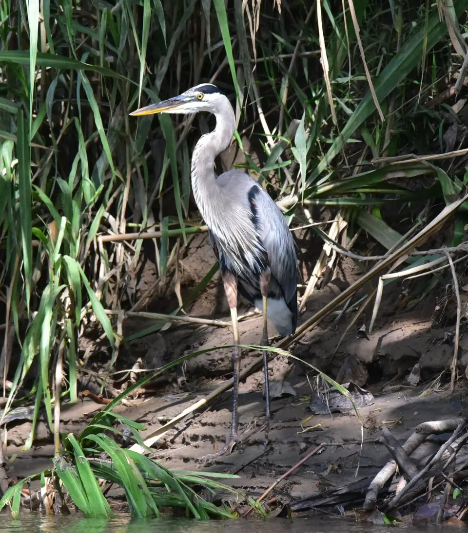 DSC_7783a.jpg