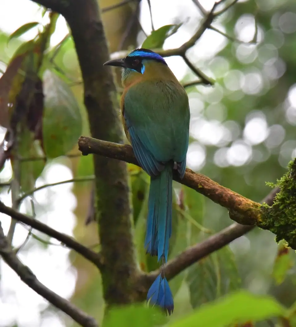 DSC_8028a.jpg