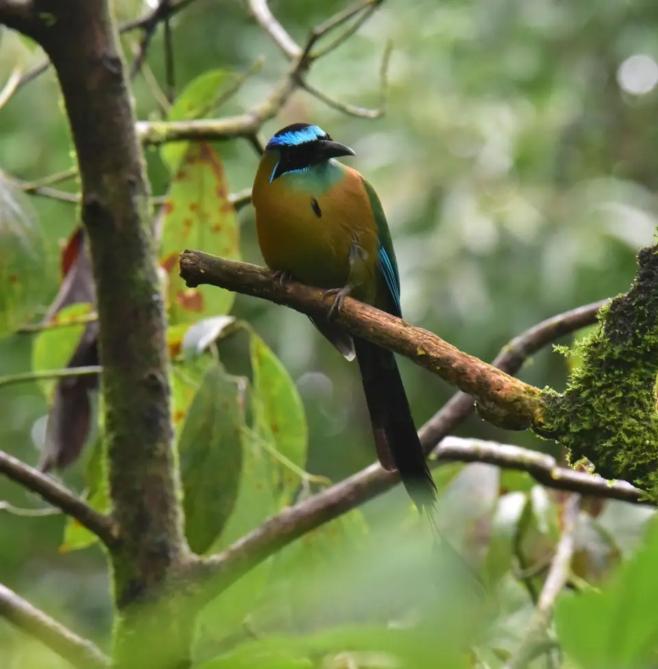 DSC_8029a.jpg