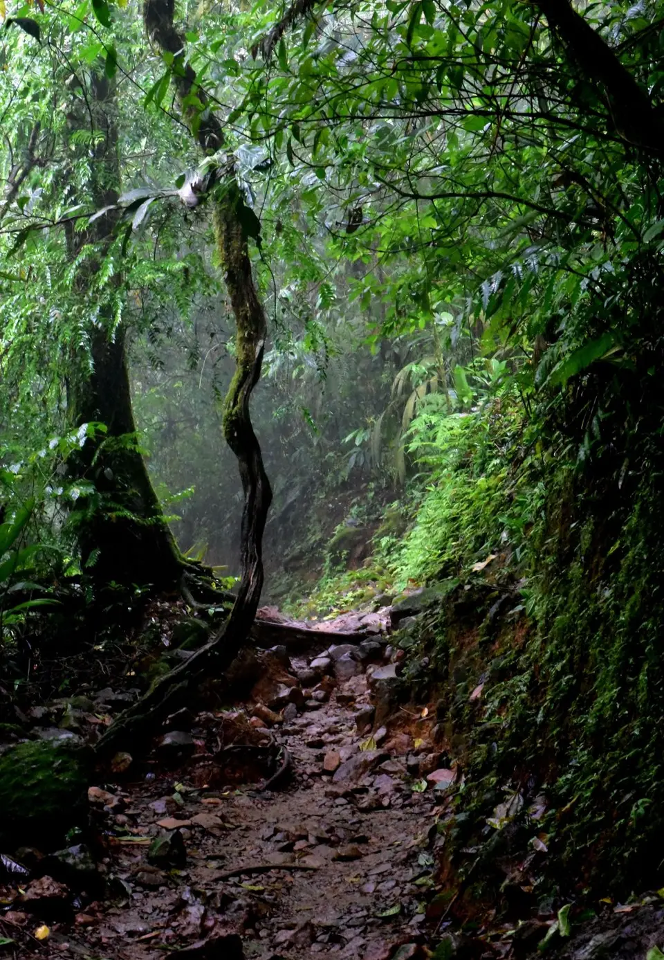 DSC_8152a.jpg