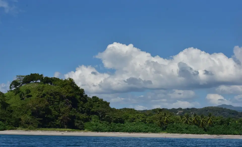 DSC_8337a.jpg