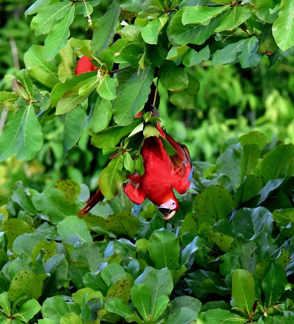 DSC_8768a.jpg